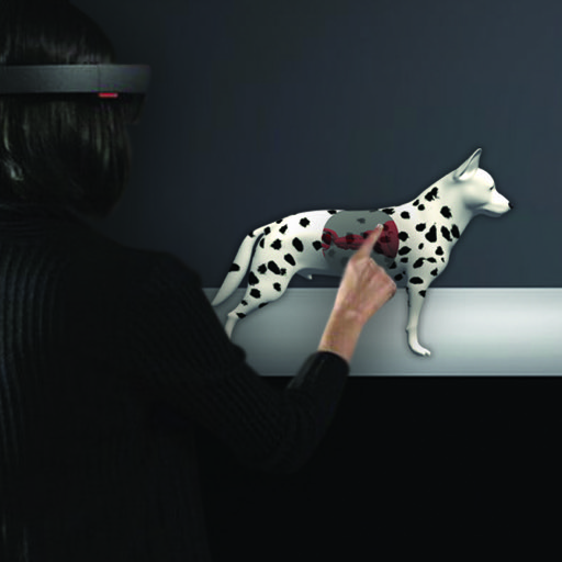 By Fonny Poan and Qiaochu Wang - A professional training system for veterinary clinical sciences to enhance the learning experience with interactive and immersive augmented reality technology. Our first demo is performing the canine palpation with in-situ visualization on region of interest.