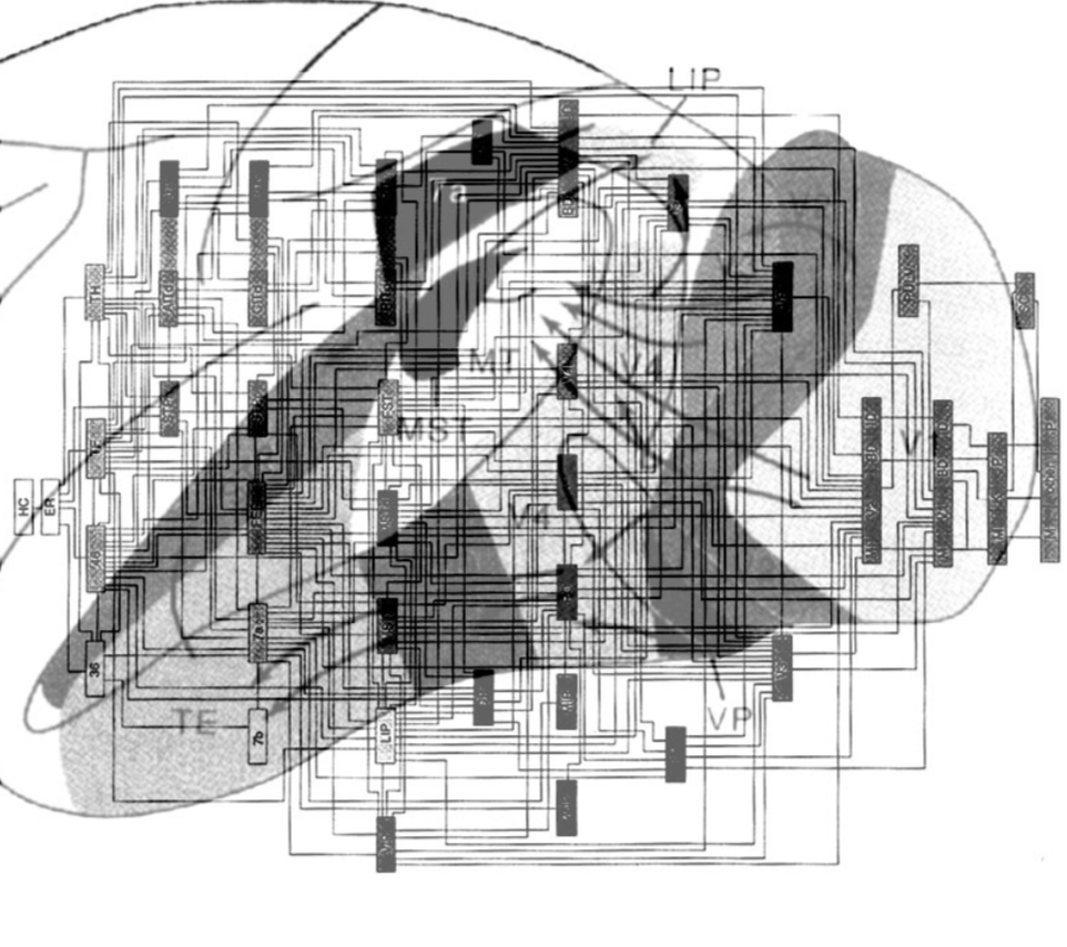 Optoelectronic Stochastic Parallel Processors for real time image ...